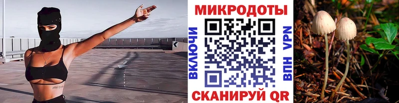 Псилоцибиновые грибы GOLDEN TEACHER это Telegram Белый